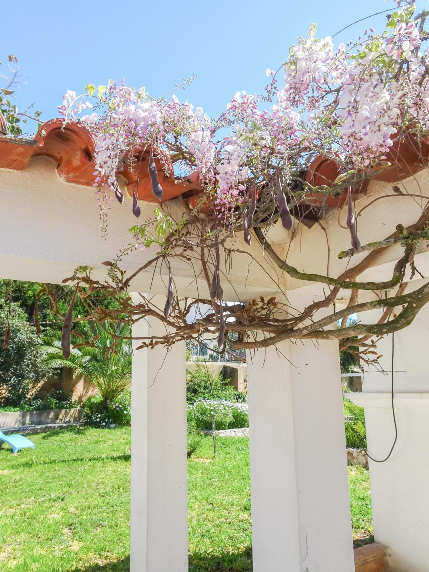 Quinta De Лагос Екстериор снимка